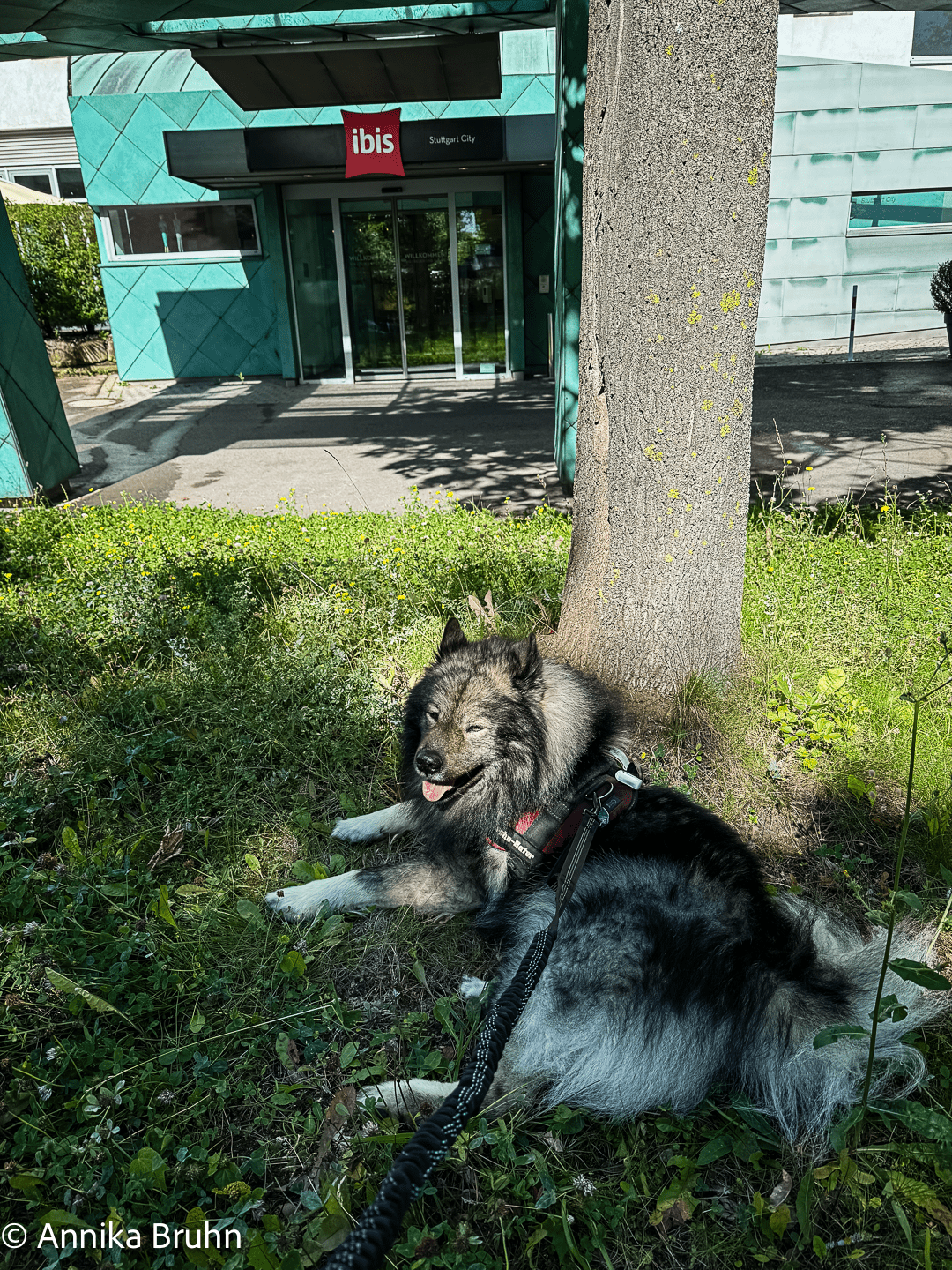 Ich warte hier denkt sich Q